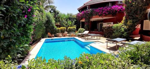 Cases conviviales et chaleureuses in Unknown City, Senegal