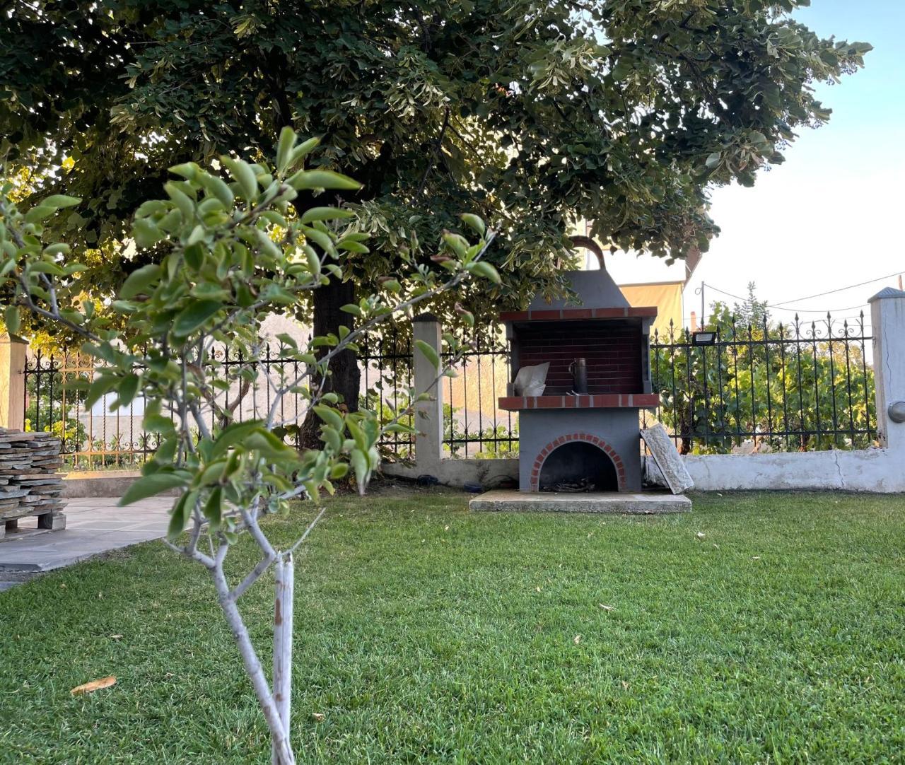 Nikiti Palataki in Nikiti, Greece