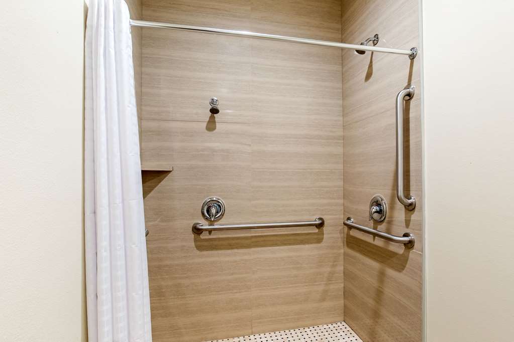 Econo Lodge Inn & Suites Houston Willowbrook - photo 47
