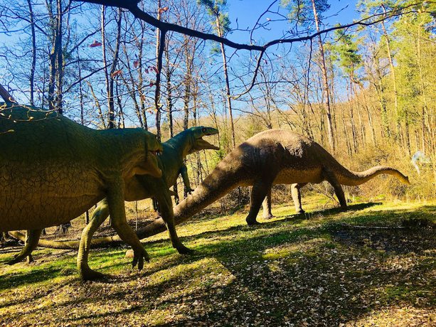 Baumhotel Styrassic Park — hotel in Bad Gleichenberg