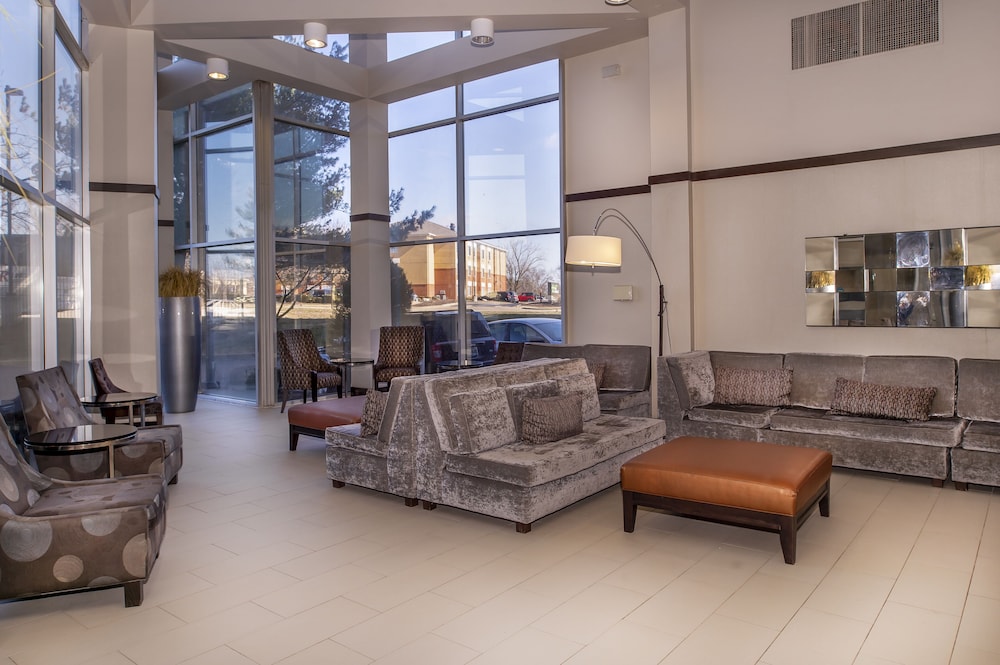 Embassy Suites by Hilton St. Louis Airport - photo 7