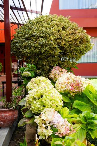Hotel Pilancones — Cajamarca — photo 4