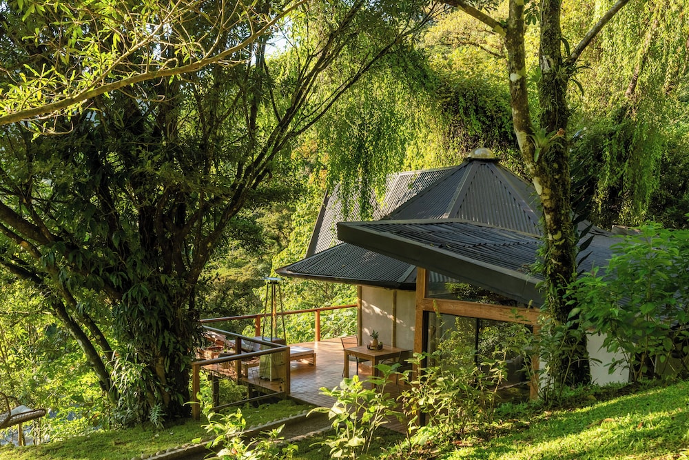 El Tigre Hideaway — Monteverde — photo 4