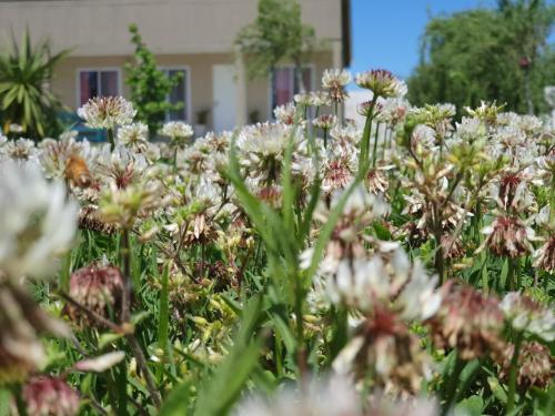 Rincón del Alma - carbon neutral hotel in Saladillo