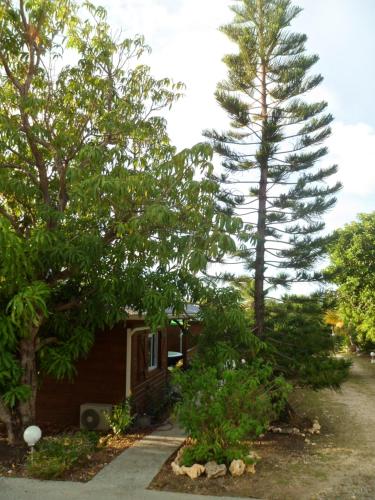 Jardin D’eden — Le Moule — photo 3