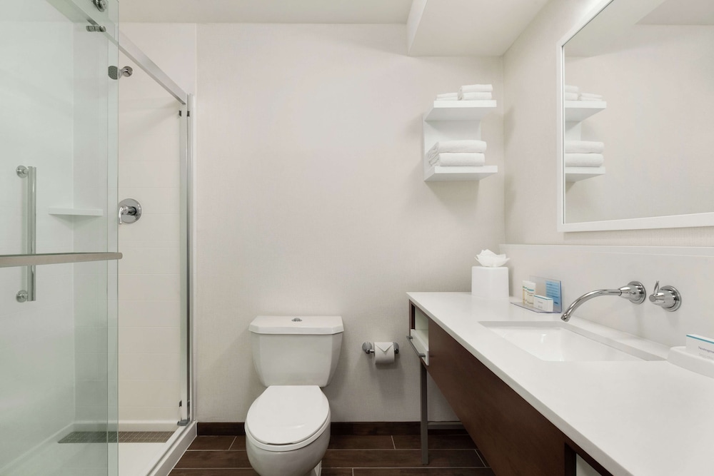Hampton Inn Houston Hobby Airport - photo 29