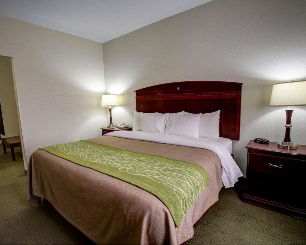 Quality Inn Rockdale - photo 11
