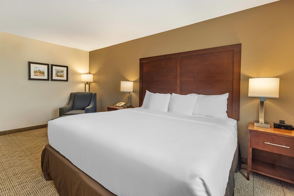 Comfort Inn & Suites Aztec Farmington Area - photo 20