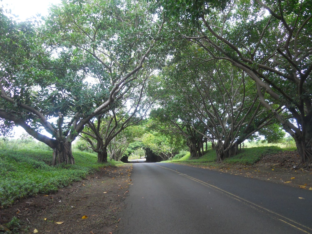 2417 at Lihue Oceanfront Resort - photo 56