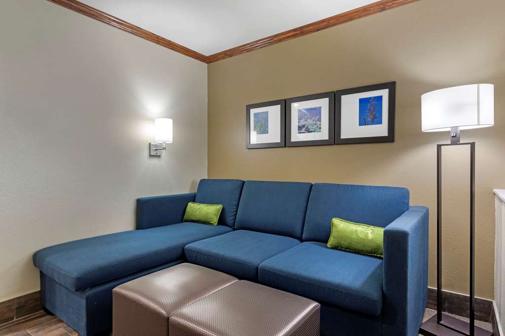 Comfort Suites West Monroe near Ike Hamilton Expo Center - photo 23