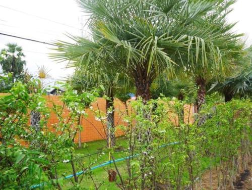 Tinna Resort — Buri Ram — photo 5