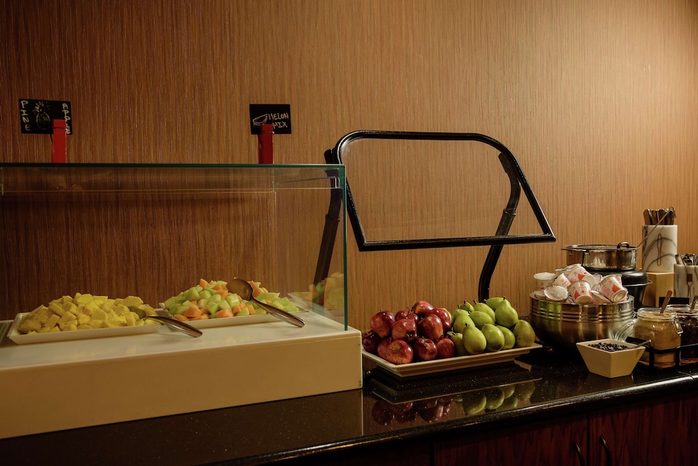 Embassy Suites by Hilton Minneapolis North - photo 34