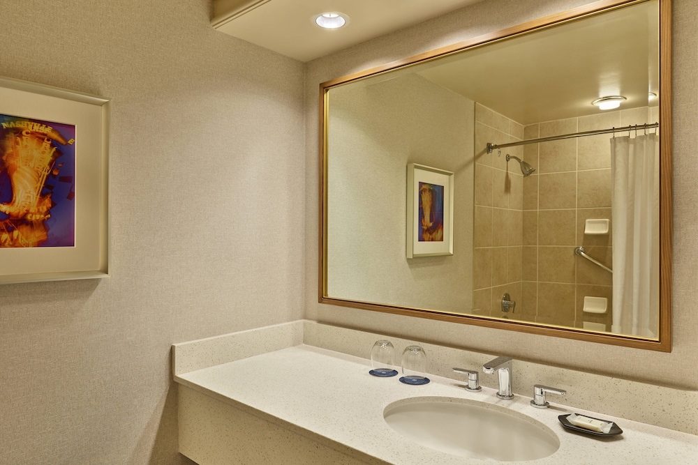 Sheraton Music City Nashville Airport - photo 23