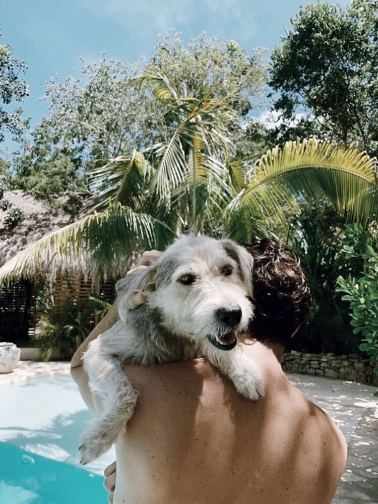 Pet-friendly amenities
