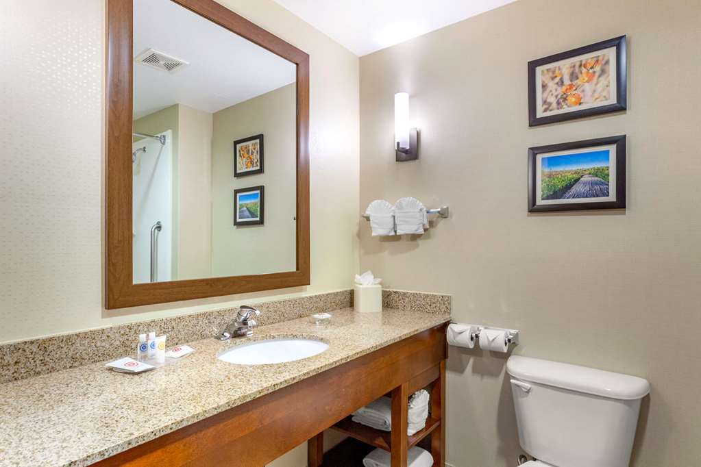 Comfort Suites Glendale State Farm Stadium Area - photo 11