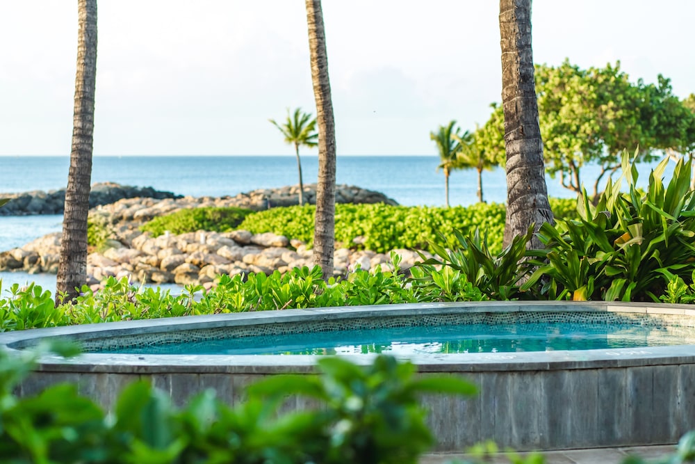 Four Seasons Resort Oahu at Ko Olina - photo 99
