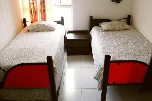 Cuarto Privado Hamacas NUEVO Jacuzzi Rooftop — Cancun — photo 4