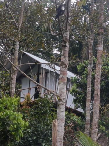 Escape Leuser Glamping - last minute hotel in Unknown City