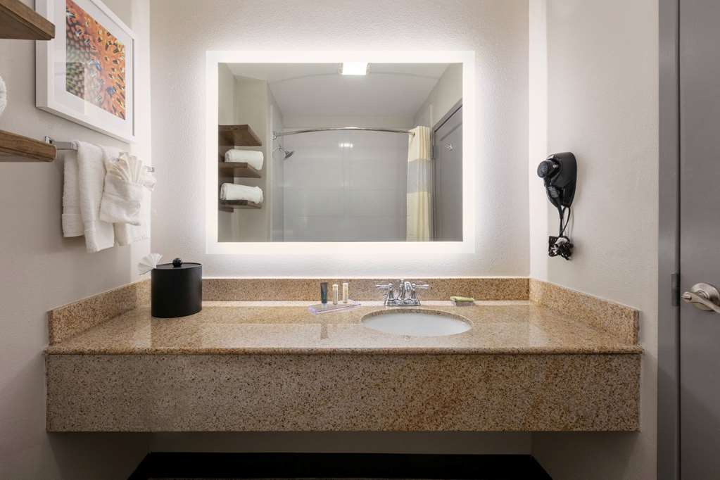 Wingate by Wyndham DFW North Irving - photo 39