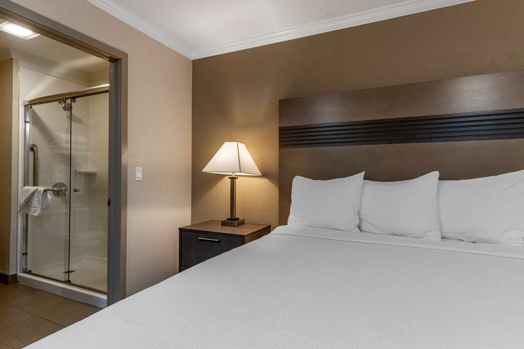 Best Western Silicon Valley Inn - photo 21