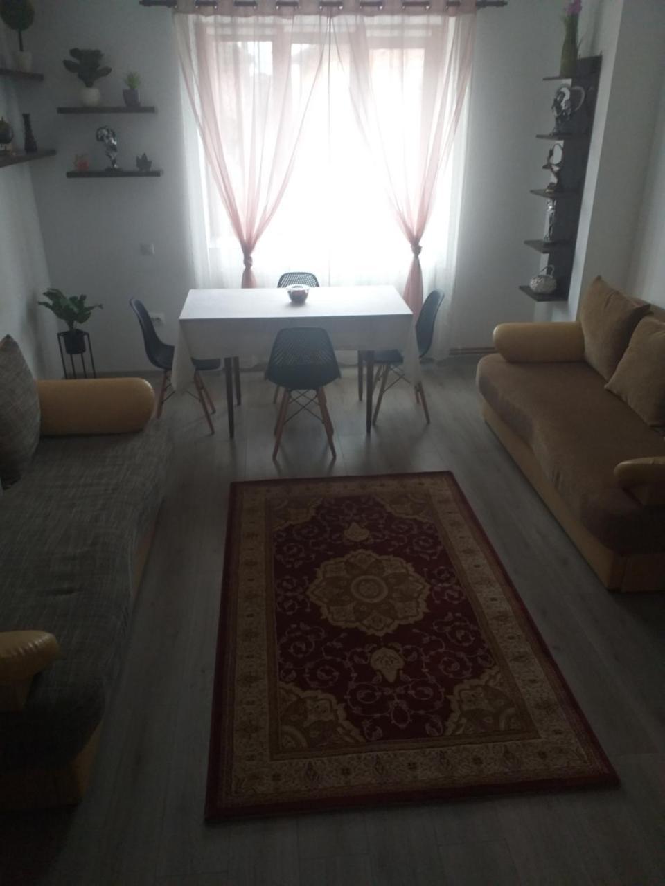 Fully Furnished Studio in Sighetu Marmatiei, Romania