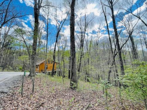 King Bed Romantic Cabin with Fireplace — 4-Star Luxury Hotel in Blairsville, United States