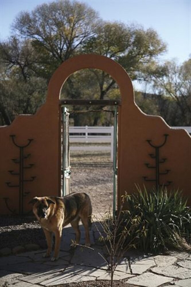 Lazy Dog Ranch - photo 21