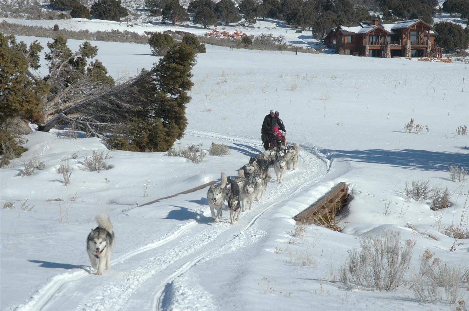 Hyatt Centric Park City - photo 34