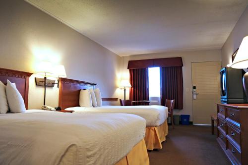 Atlantis Inn - photo 28