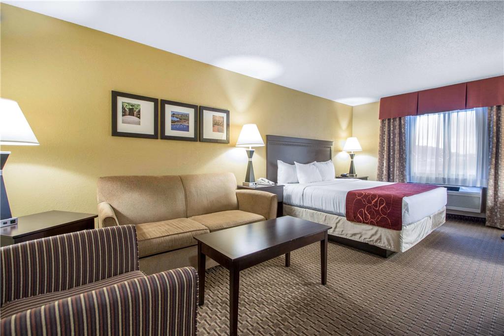 Comfort Suites Wisconsin Dells Area - photo 21
