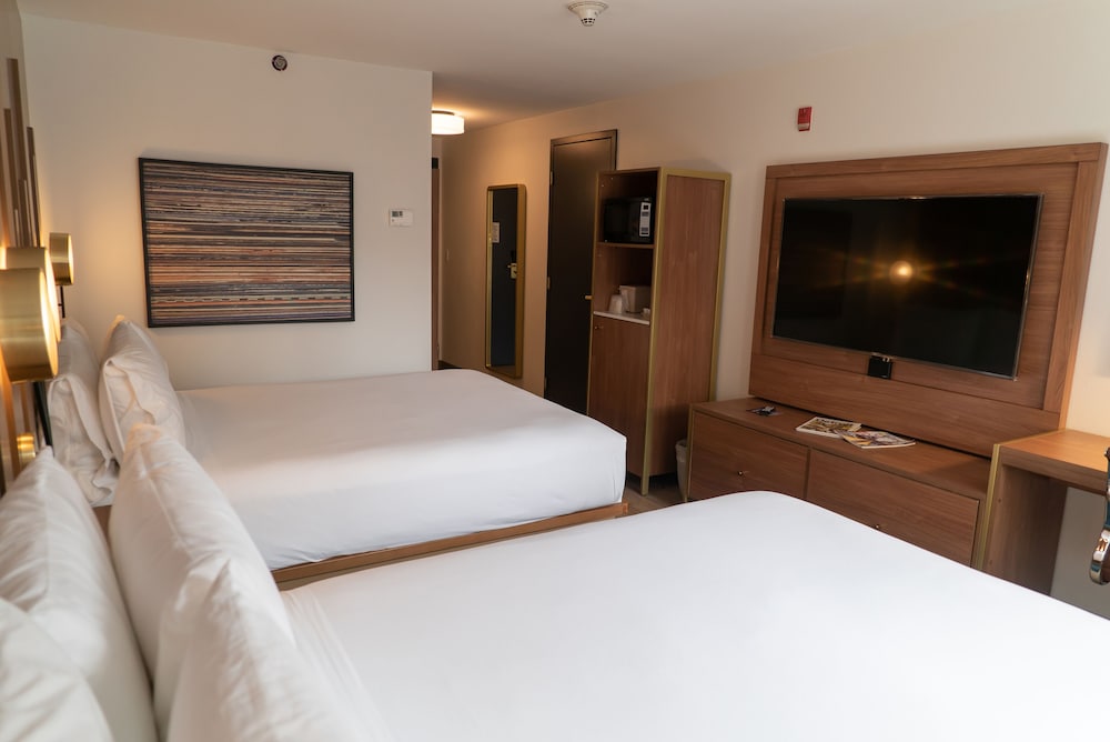 Hotel Indigo Detroit Downtown by IHG - photo 12