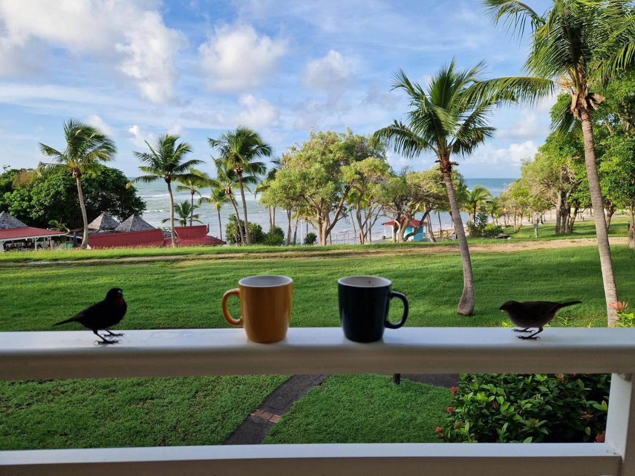 Studio Ti'Pénéqué village vacances St Anne — 4-Star Luxury Hotel in Sainte-Anne, Guadeloupe