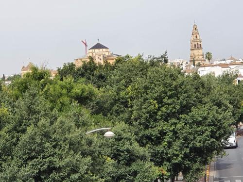 Paseo De La Ribera Cordoba — Cordoba