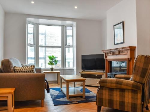 Grey Gull in Whitby, United Kingdom