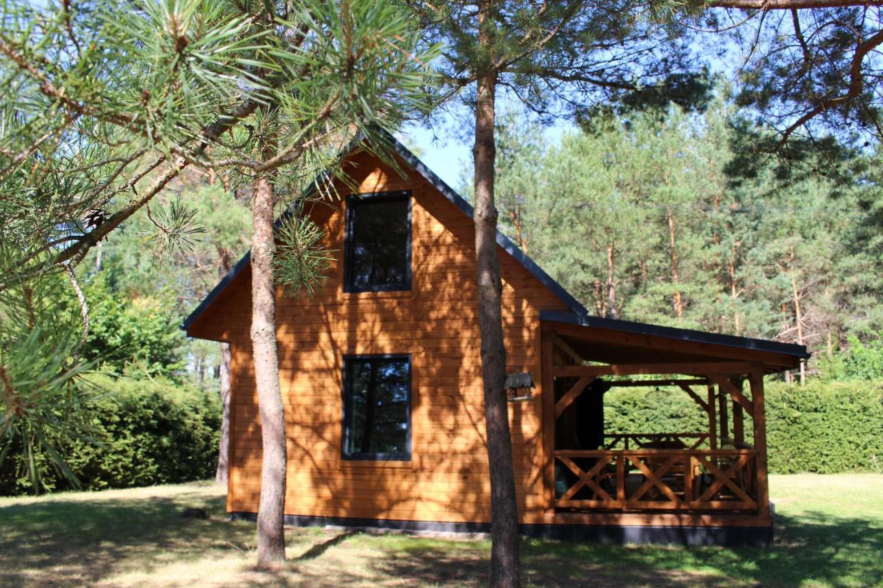 Między Sosnami — hotel in Pasym