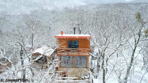 Villa Vejini cabin