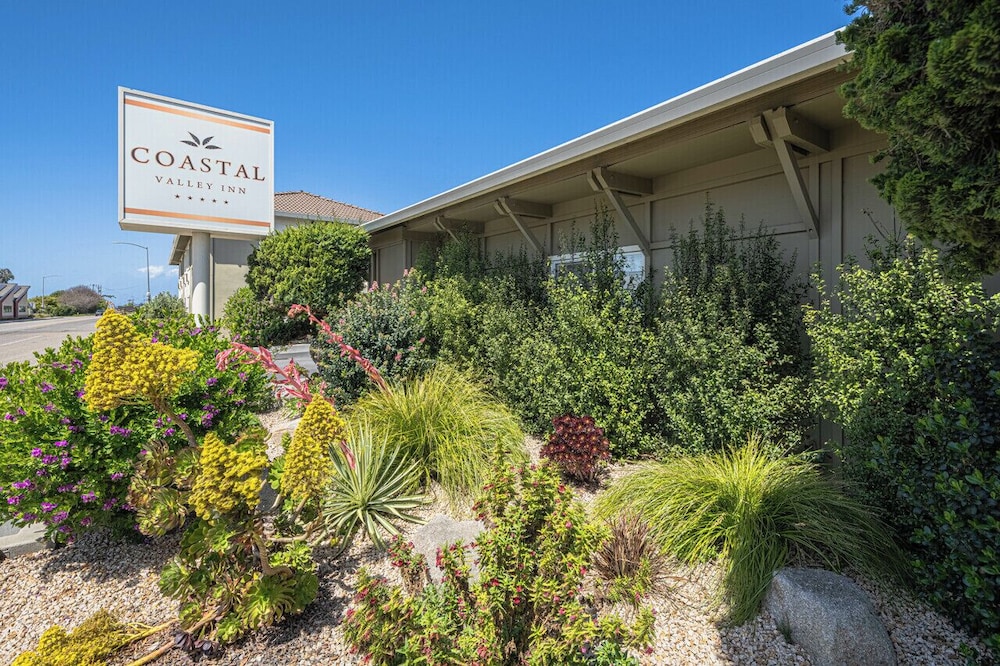 Coastal Valley Inn - photo 16