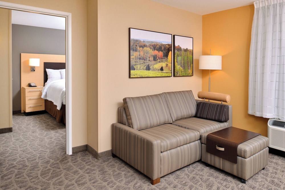 TownePlace Suites Detroit Commerce - photo 10