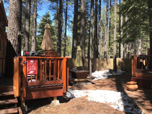 Cedar Pines Resort - photo 7