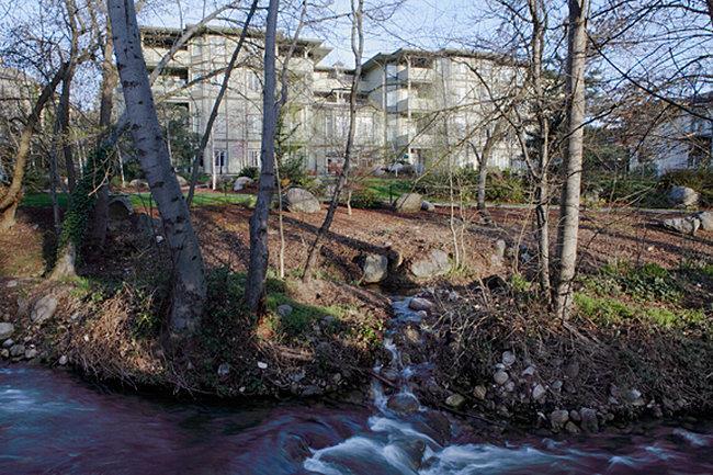 Plaza Inn & Suites at Ashland Creek - photo 6