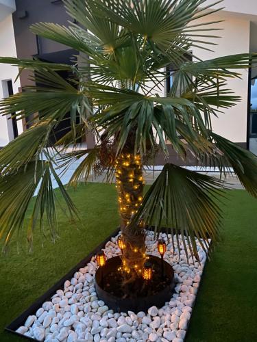 La Palmera Del Sotillo — hotel in La Lastrilla
