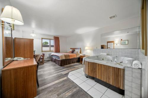 Executive Inn Cass City - photo 30