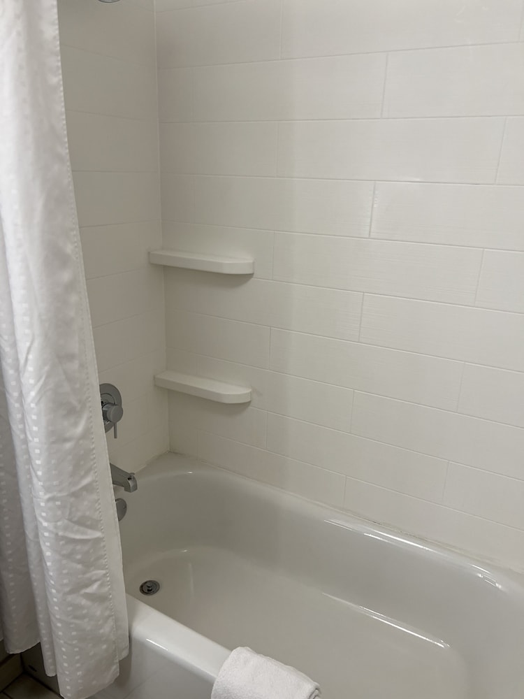 Holiday Inn Express & Suites Mobile University Area by IHG - photo 30
