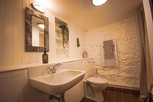 The Old Smithy Inn — Bideford — photo 5