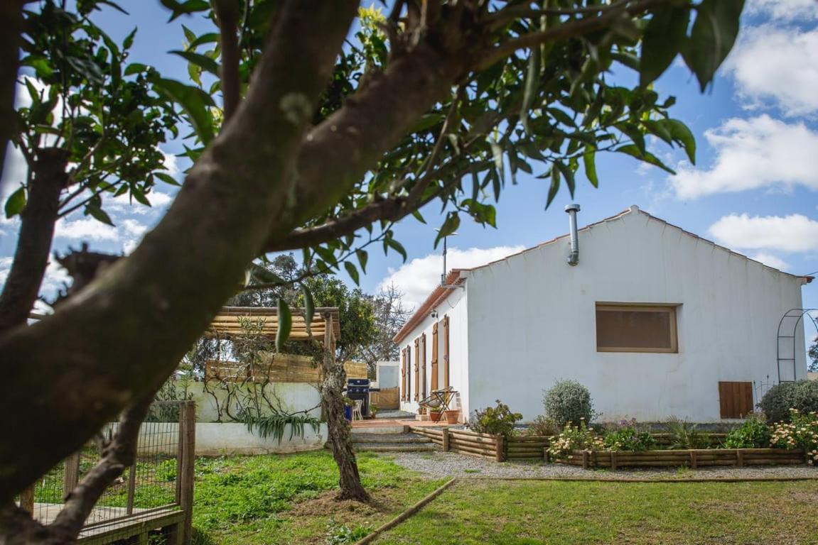 Costa Vicentina Villa with Garden Pool and View — 4-Star Luxury Hotel in Castanheira Do Ribatejo, Portugal