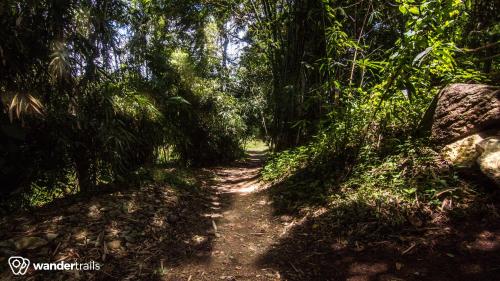 Uravu Bamboo Grove A Wandertrails Showcase