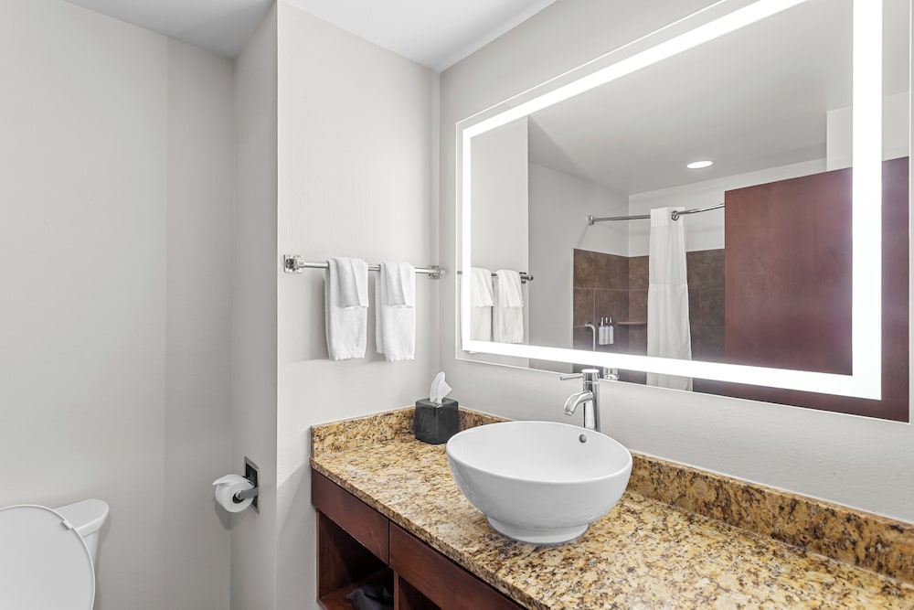 Holiday Inn Express Hotel & Suites Cross Lanes by IHG - photo 15