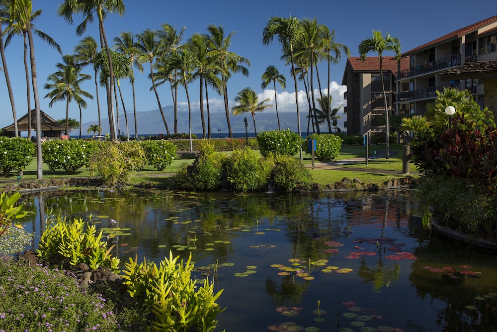 AEI at Papakea Resort Maui - photo 20