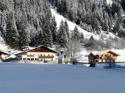 Larchhof in Racines, Italy