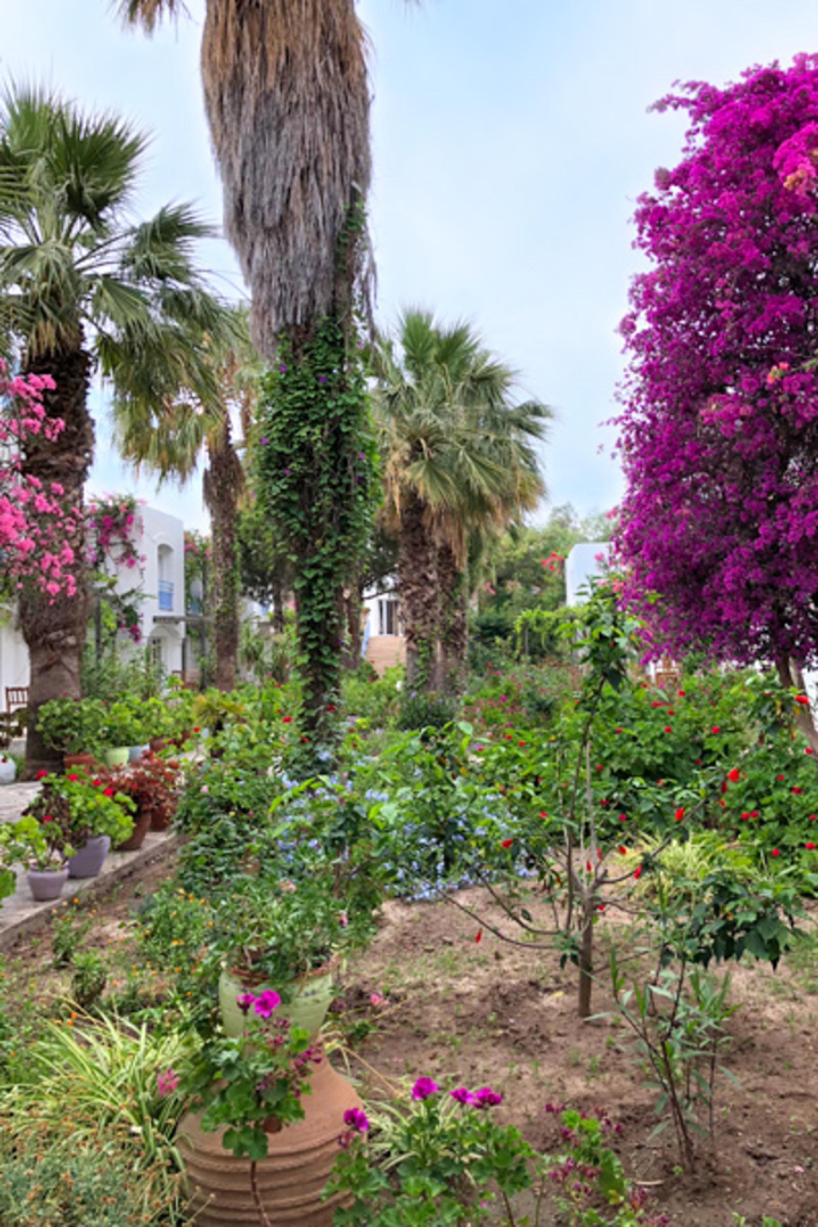 Tamarisk Hotel — 4-Star Luxury Hotel in Bodrum, Turkey